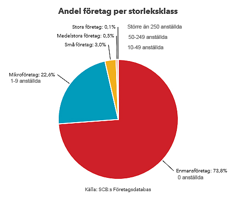 Företagsstorlek_2015-2